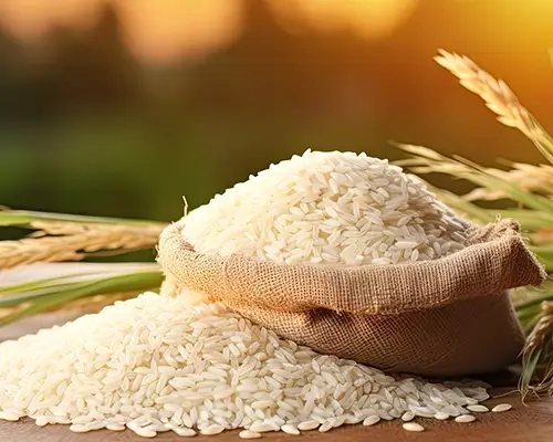 Rice